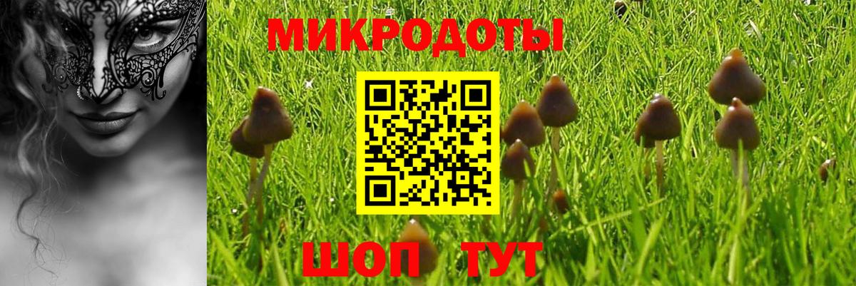 Псилоцибиновые грибы ЛСД Наро-Фоминск