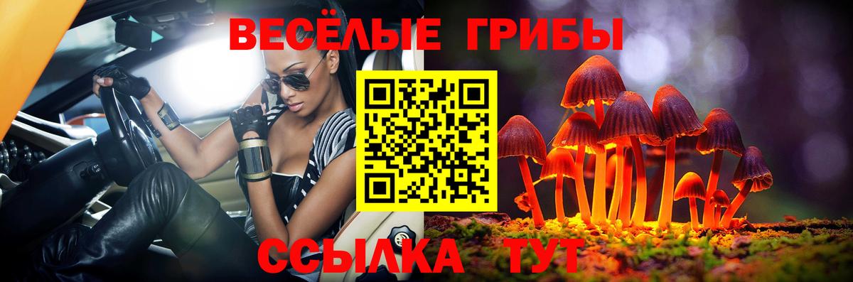 Галлюциногенные грибы GOLDEN TEACHER  Вход с VPN  Наро-Фоминск  Галлюциногенные грибы мухоморы 